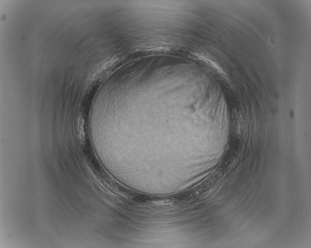 X0000075810692200610151430