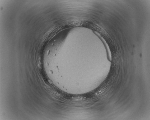 X0000075810693200610151430