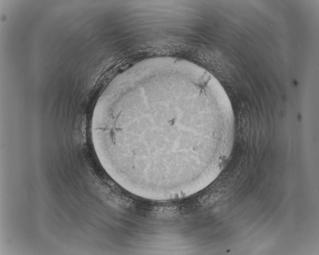 X0000075810694200610151430