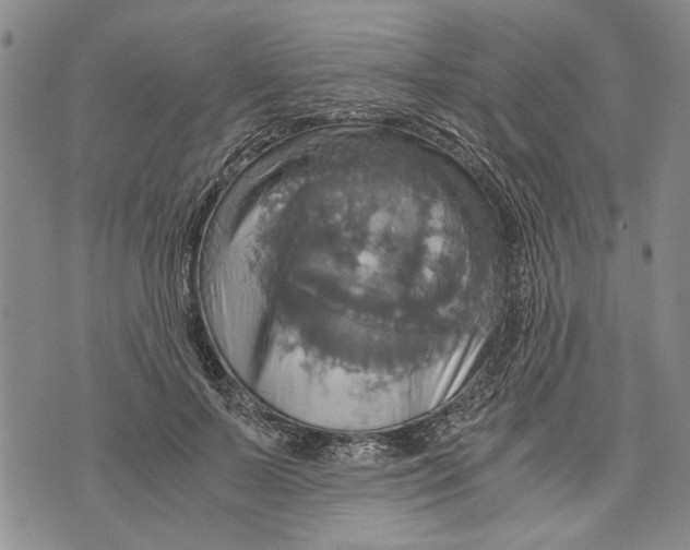 X0000075810695200610151430