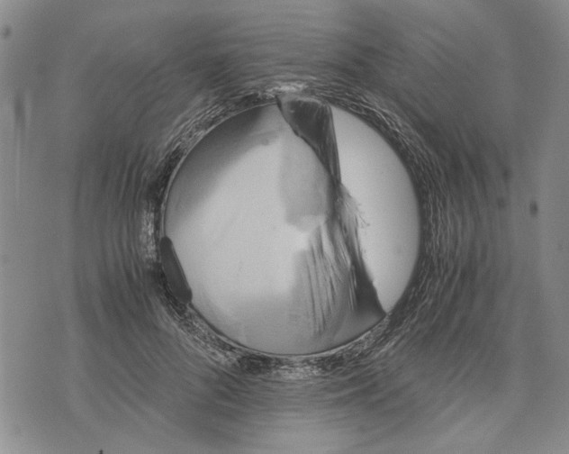 X0000075810696200610151430