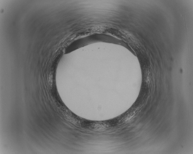 X0000075810697200610151430