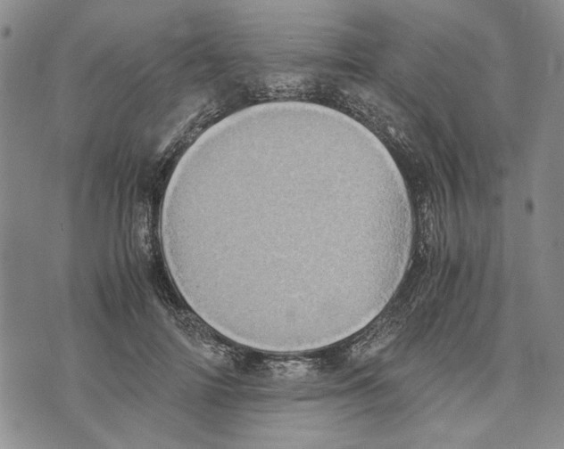 X0000075810698200610151430