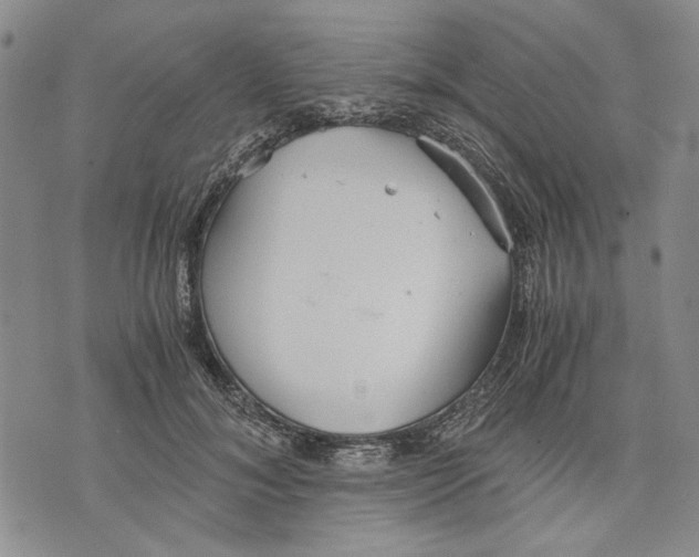 X0000075810700200610151430