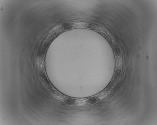 X0000075810701200610151430