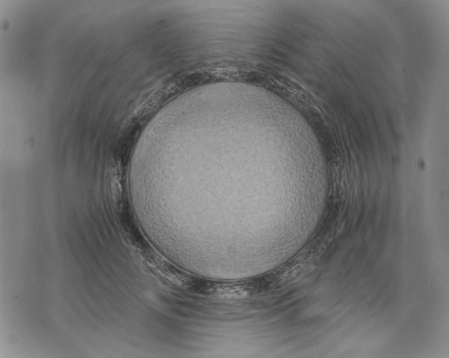 X0000075810702200610151430