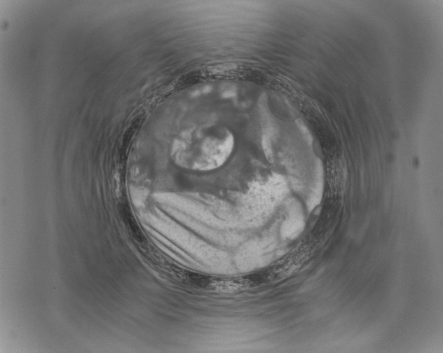 X0000075810703200610151430