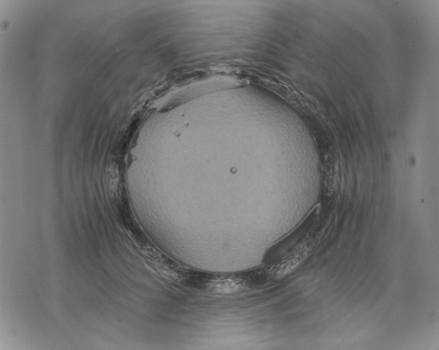 X0000075810704200610151430