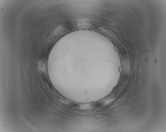 X0000075810705200610151430