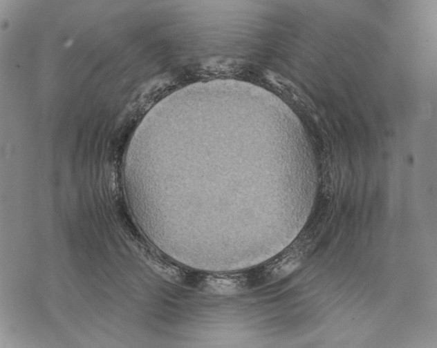 X0000075810706200610151430