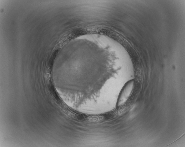 X0000075810707200610151430