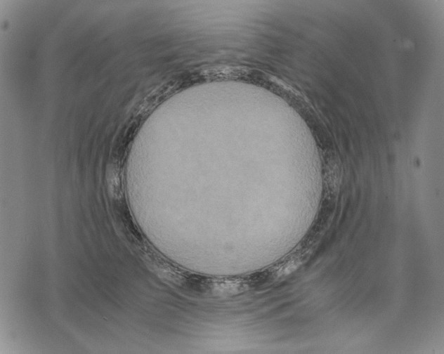 X0000075810709200610151430