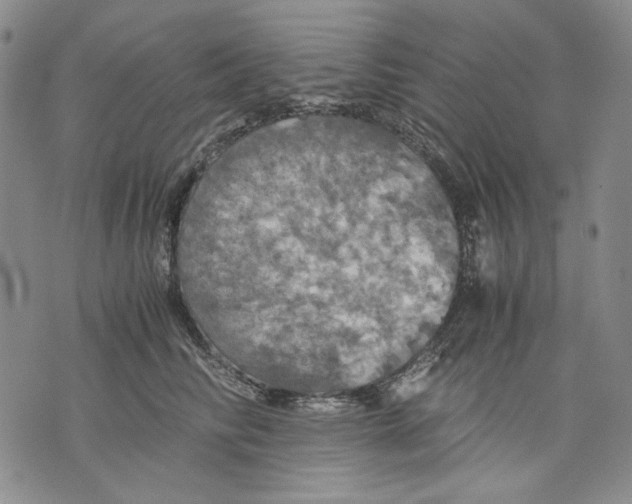 X0000075810710200610151430