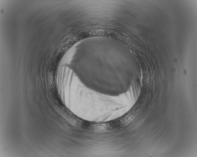 X0000075810711200610151430