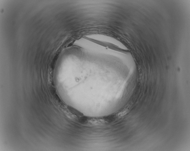 X0000075810712200610151430