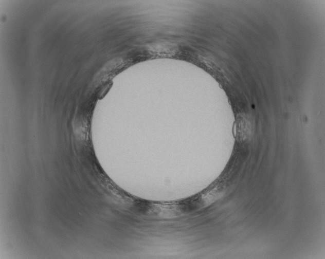 X0000075810713200610151430