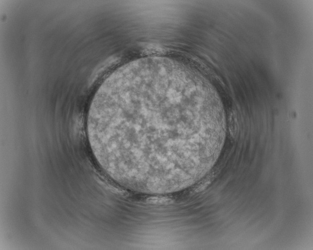 X0000075810714200610151430