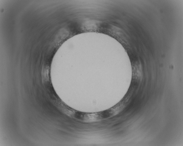 X0000075810717200610151430