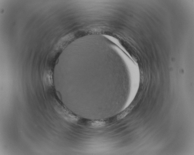 X0000075810718200610151430