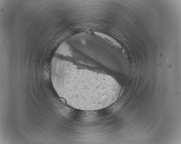 X0000075810719200610151430