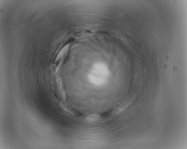 X0000075810720200610151430