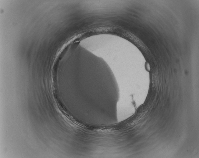 X0000075810722200610151429