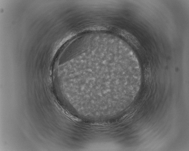 X0000075810727200610151429