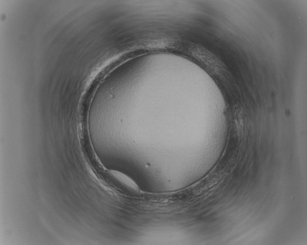 X0000075810728200610151429