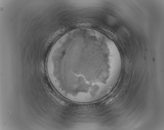 X0000075810729200610151429