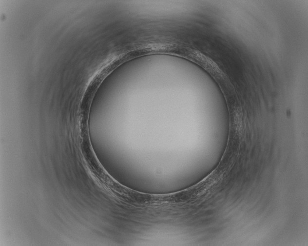 X0000075810730200610151429