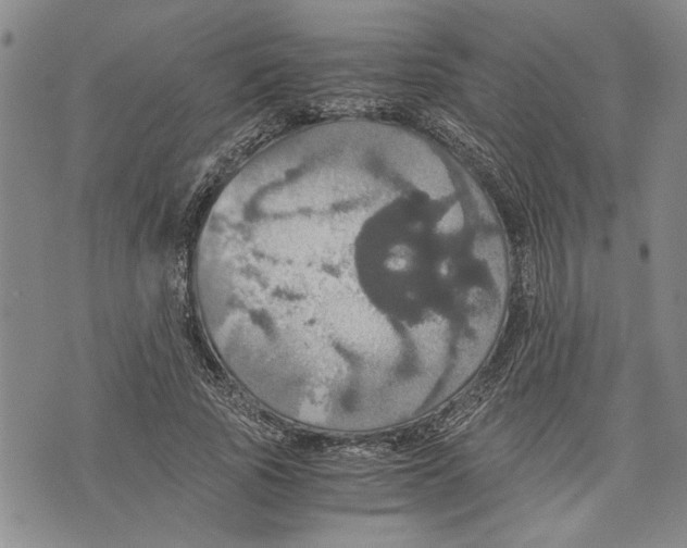 X0000075810737200610151429