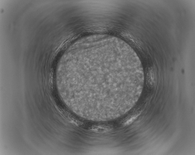 X0000075810739200610151429