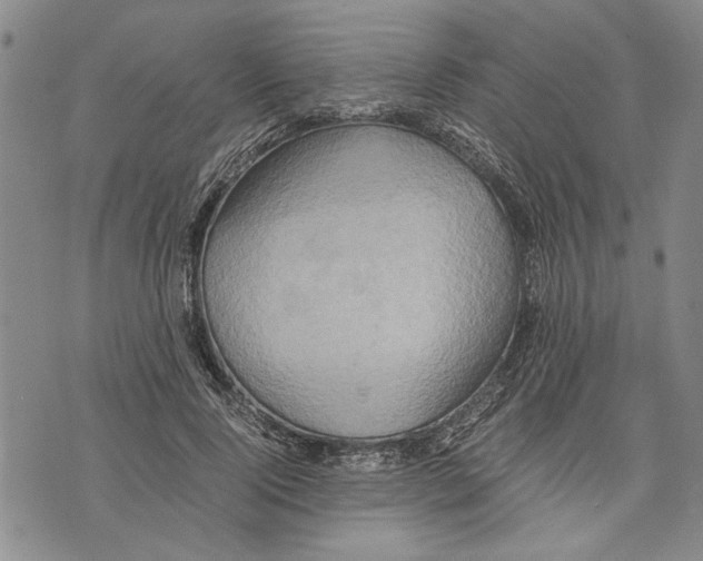 X0000075810740200610151429