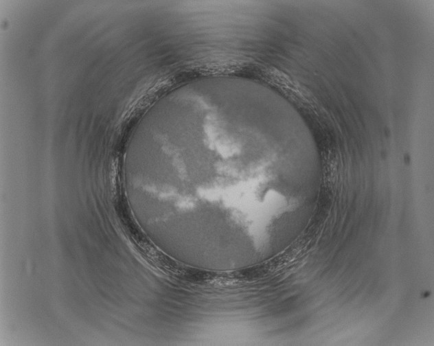 X0000075810742200610151429