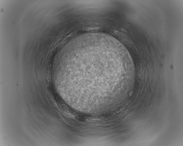 X0000075810743200610151429