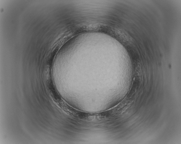 X0000075810744200610151429