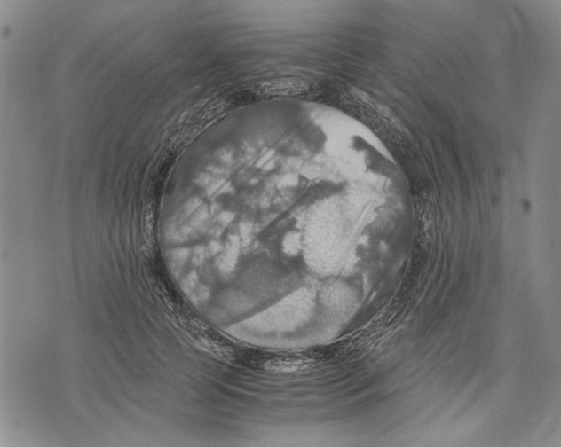 X0000075810745200610151429