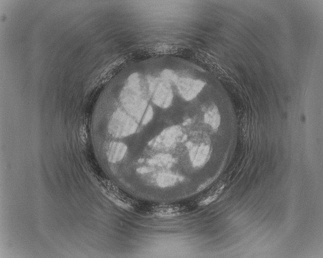 X0000075810746200610151429