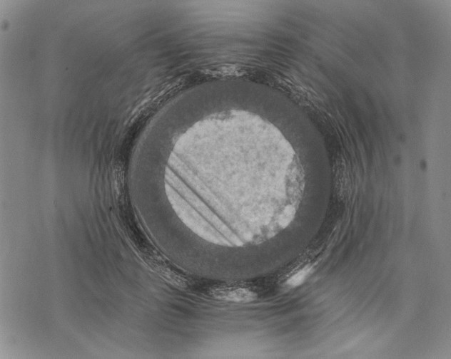 X0000075810747200610151429