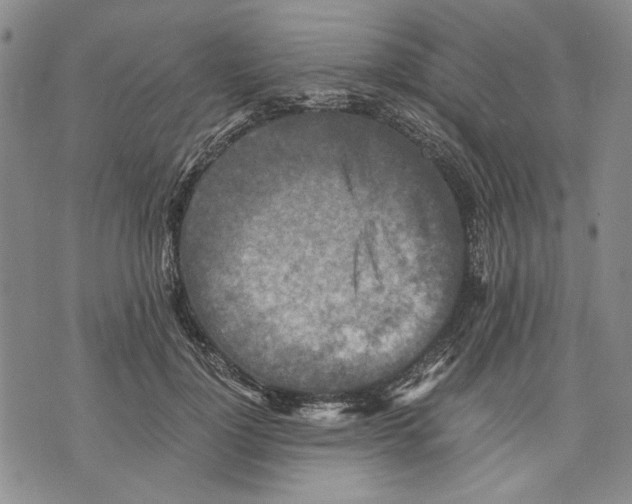 X0000075810748200610151429