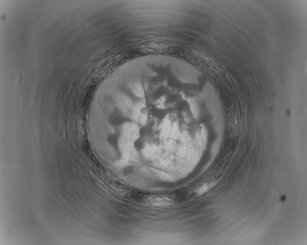 X0000075810749200610151429