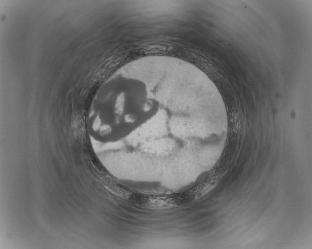 X0000075810753200610151429