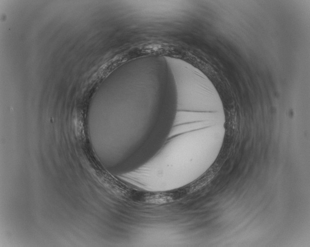 X0000075810754200610151429