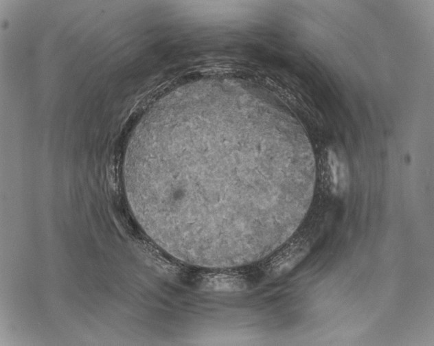 X0000075810755200610151429