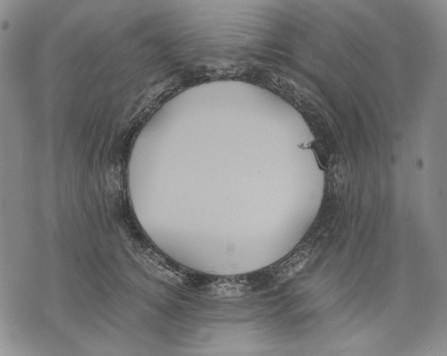 X0000075810756200610151429