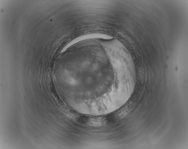 X0000075810757200610151429