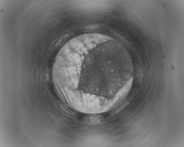 X0000075810758200610151429