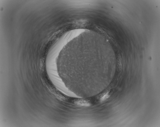 X0000075810759200610151429