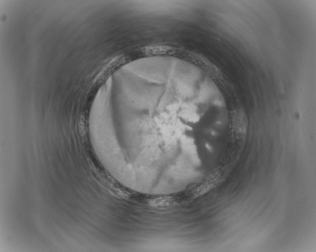 X0000075810761200610151429