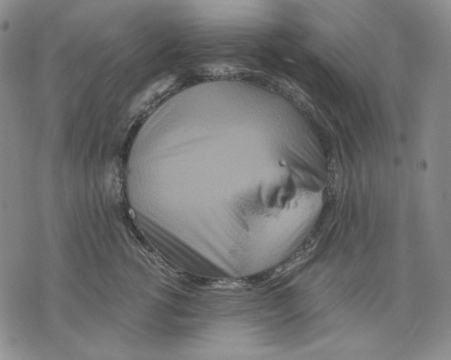 X0000075810762200610151429